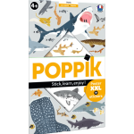 Discovery Stickers - Sharks