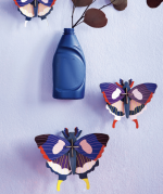Swallowtail Butterflies, Set Of 3 - Image 3