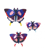 Swallowtail Butterflies, Set Of 3