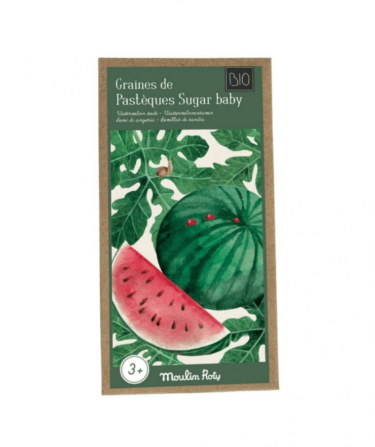 14017 Watermelon Seeds - Image 1