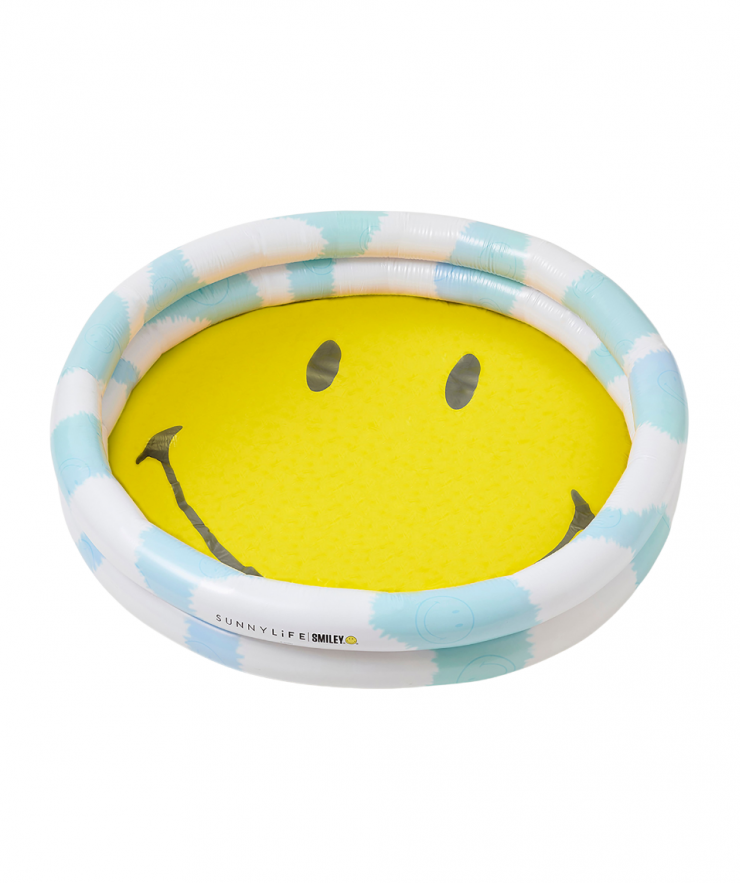 14271 The Pool Smiley - Image 1