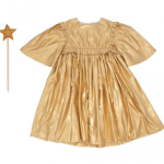 Meri Meri Gold Angel Dress