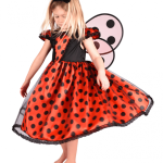 Ladybug Dress