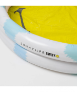 The Pool Smiley - Image 3