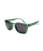Dinosaur Sunglasses
