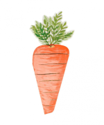 Meri Meri Foiled Carrot Napkins