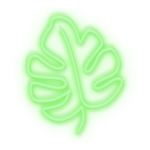 Leaf Neon Light
