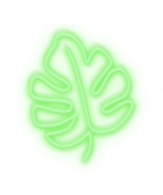 Leaf Neon Light