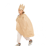 DIY Costume King/Queen