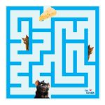 Board Game - Maze