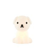 Snuffy First Night Light