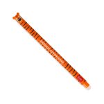 Erasable Gel Pen "Grrreat Adventure" Tiger