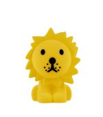 Lion First Night Light
