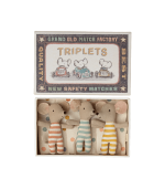 Triplets, Baby Mice in Matchbox