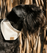 Dog Bandana, Beige M - Image 3