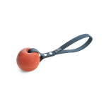 Floating Dog Toy, Blue Biothane
