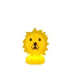 Bundle Of Light Lion