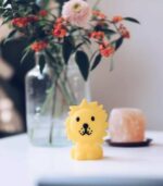 Bundle Of Light Lion - Image 3