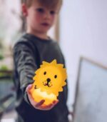 Bundle Of Light Lion - Image 2