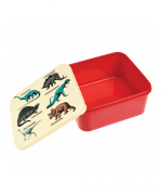 Sandwich Lunch Box - Prehistoric Land - Image 2