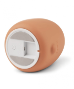 Winston night light, Mr Bear Tuscany Rose - Image 3