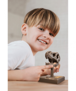 Kidzlabs Κρανίο Τ-Ρεξ Με Ηχο - Image 2
