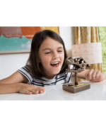 Kidzlabs Κρανίο Τ-Ρεξ Με Ηχο - Image 5