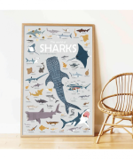 Discovery Stickers - Sharks - Image 2
