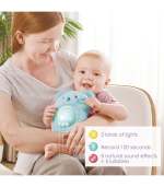 Hape My Music Pal - Huggy Momo - Image 4
