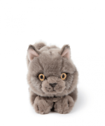 Freddy the British Shorthair, 20cm - Image 3