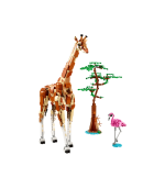 Wild Safari Animals - Image 5