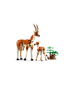 Wild Safari Animals - Image 7