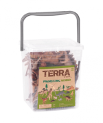 Prehistoric World Animal Playset