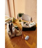 Driss Lunchbox, Dinosaurs/Mist - Image 3