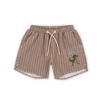 Seer Asnou Swimshorts GRS, Tigers Eye