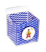 You Rock Mirror Easter Plexiglass Lantern