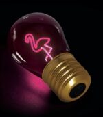 Flamingo Lightbulb - Shaped Table Lamp - Image 3