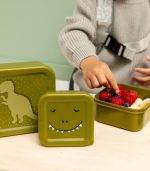 Snack Box Nesting - 3pcs - Mr. Dino - Image 2