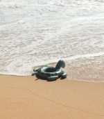 Phoebe Turtle Swim Ring, Faune Green - Image 2