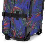 Tranverz M Brize Palm Navy - Image 4