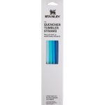 Adventure Quencher Travel Tumbler Straws - 0.89L, 4-Pack Blue