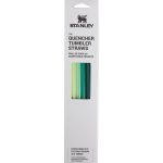 Adventure Quencher Travel Tumbler Straws - 0.89L , 4-Pack Green