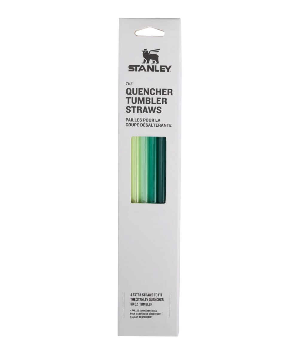 111 Adventure Quencher Travel Tumbler Straws - 0.89L , 4-Pack Green - Image 1