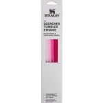 Adventure Quencher Travel Tumbler Straws - 0.89L , 4-Pack Pink