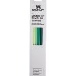 Adventure Quencher Travel Tumbler Straws - 1.18L, 4-Pack Green