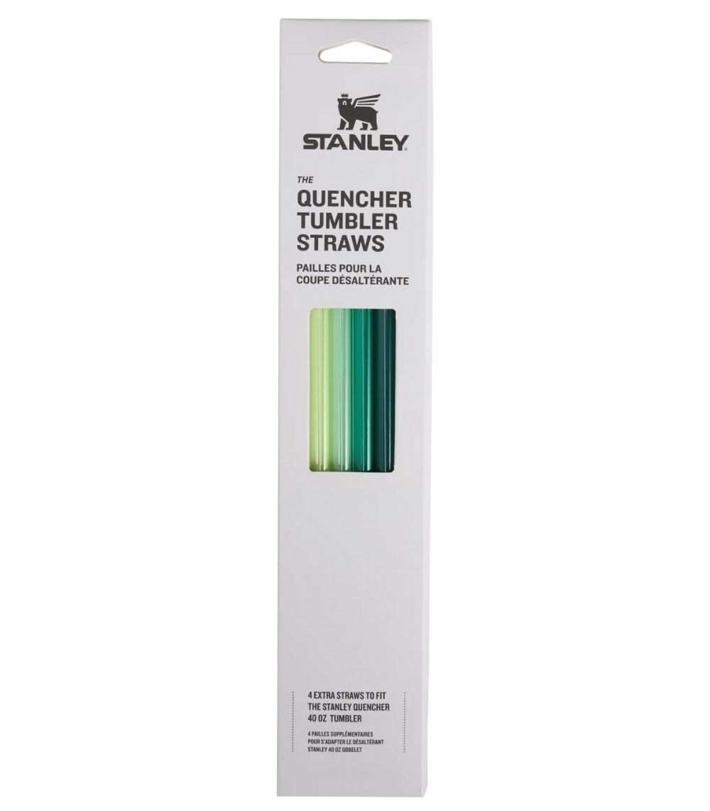 118 Adventure Quencher Travel Tumbler Straws - 1.18L, 4-Pack Green - Image 1