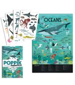 Discovery Stickers - Animals Of The Ocean - Image 4