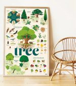 Discovery Stickers - Tree - Image 3