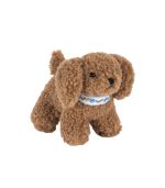 Activity Puppy