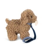Lulu Puppy - Image 7